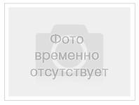 Забочусь о безопасности своих клиентов и обеспечиваю надежную защиту